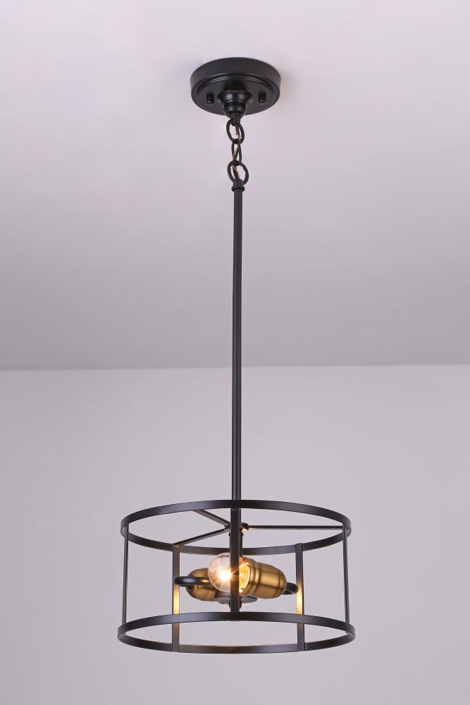 12" 2x60W E26 Pendant in black finish with Gold sockets with chain and loop