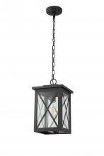 Lit Up Lighting LIT73132BK-CL - 13" Outdoor Chain Hung Pendant in Black Finish with clear glass, with 3Ft chain