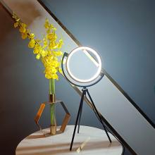 Lit Up Lighting TL2116BK - Circle Table Lamp, Aluminum + PMMA, Size: 45 cm, Color: 3500K Light body color: Black