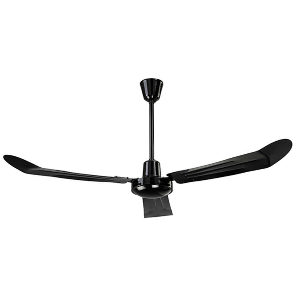 Ceiling Fan 5w55e Distinctive Lighting Concepts Inc