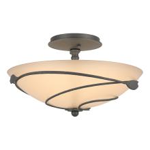 Hubbardton Forge - Canada 126712-SKT-20-SS0048 - Forged Leaves Semi-Flush