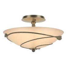 Hubbardton Forge - Canada 126712-SKT-84-SS0048 - Forged Leaves Semi-Flush