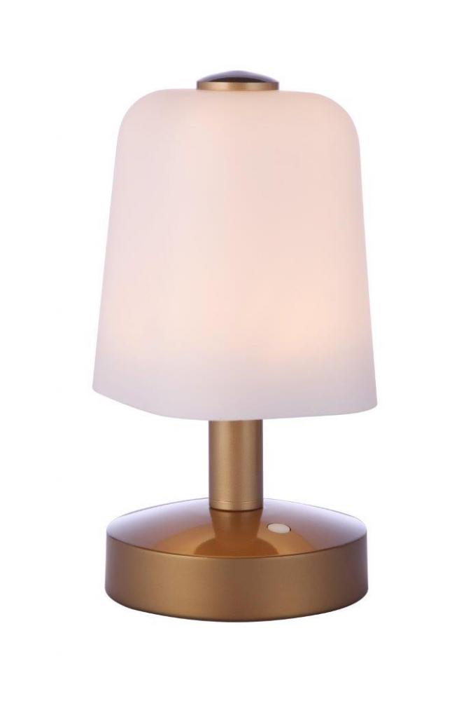 Outdoor Rechargeable Dimmable LED Portable Lamp in Satin Brass